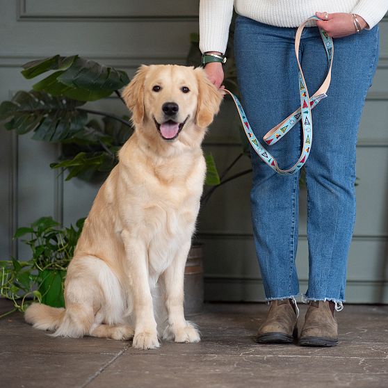 Patterned Ribbon Leash