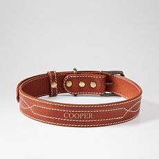 Carson Leather Dog Collar