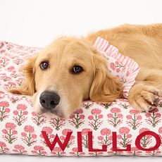 Deluxe Dog Bed Lounger