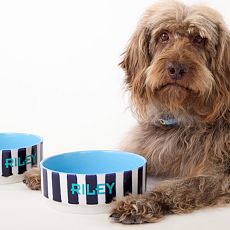 Striped Ceramic Pet Bowl