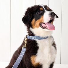 Hand Embroidered Linen Dog Collar