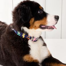Smathers & Branson Needlepoint Dog Collar