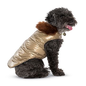 Dog Puffer Jacket