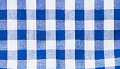 Blue Gingham