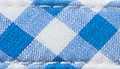 Blue Gingham