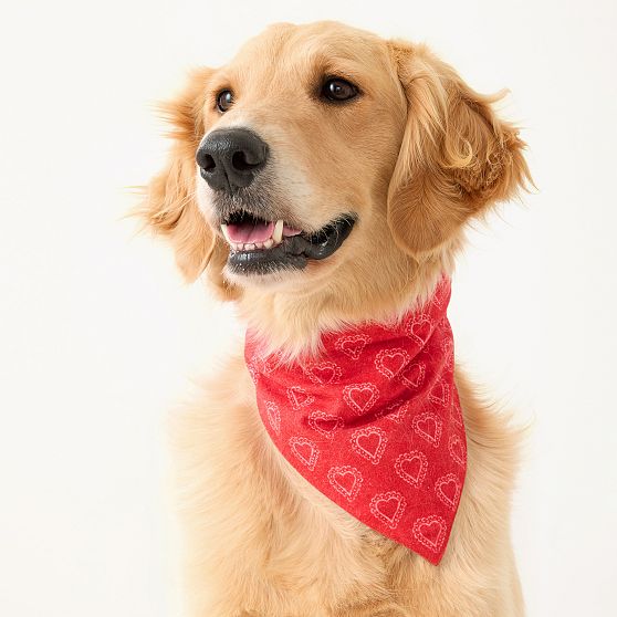 Patterned Dog Bandana