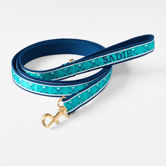 Ribbon Leash