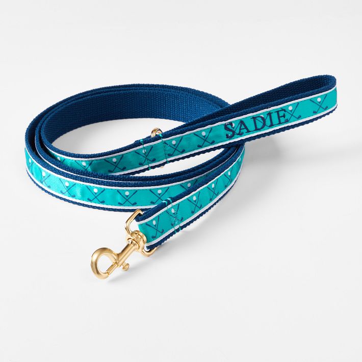 Ribbon Leash