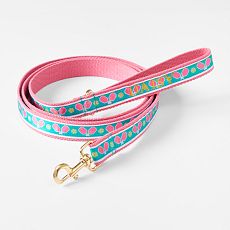 Pickleball Ribbon Leash
