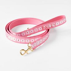 Hearts Ribbon Leash
