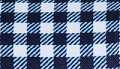Navy Gingham