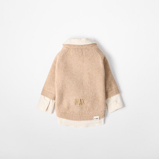 Collared V-Neck Dog Sweater Shirt