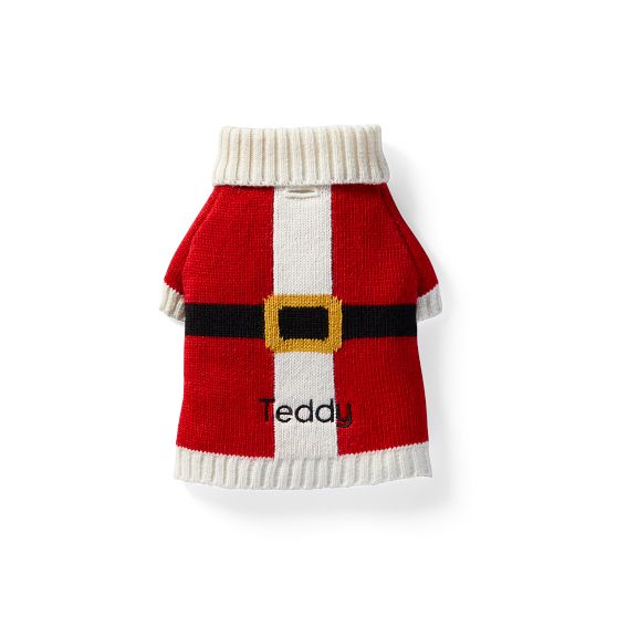 Santa Knit Dog Sweater