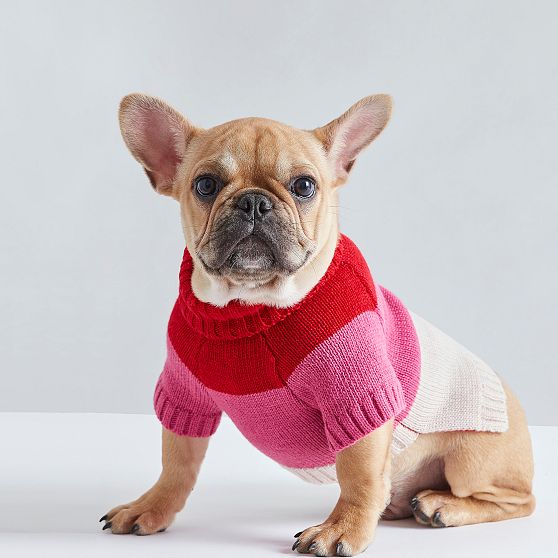 Love Knit Dog Sweater