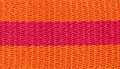 Orange-Orchid-Orange