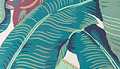 Martinique Banana Leaf Green