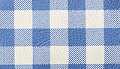 Cornflower Gingham