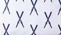 Crossed Skis
