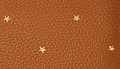 Camel Star