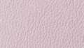 Old Lilac