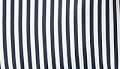 Navy-White Stripe