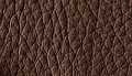 Chocolate Brown