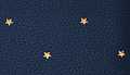 Navy Star