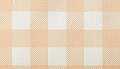 Blush Gingham
