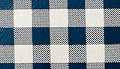 Navy Gingham
