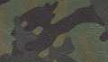 Green Camo