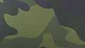 Green Camo