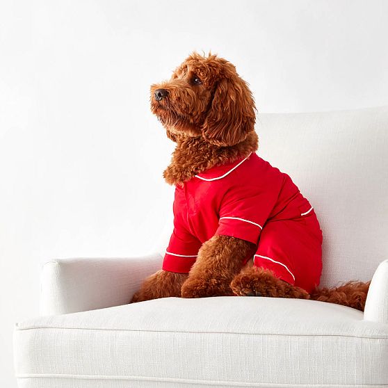 Pet Pajamas