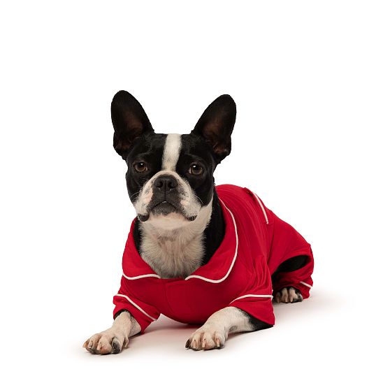 Pet Pajamas