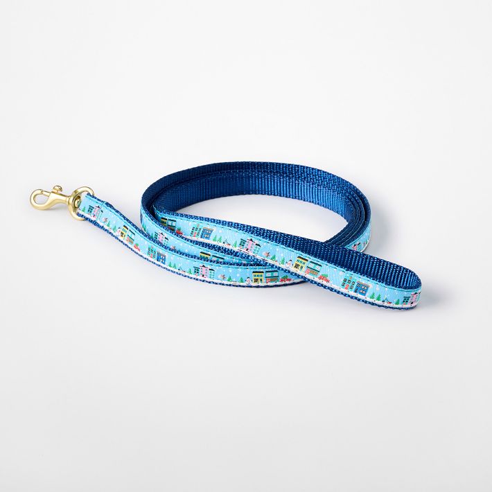 Patterned Ribbon Leash