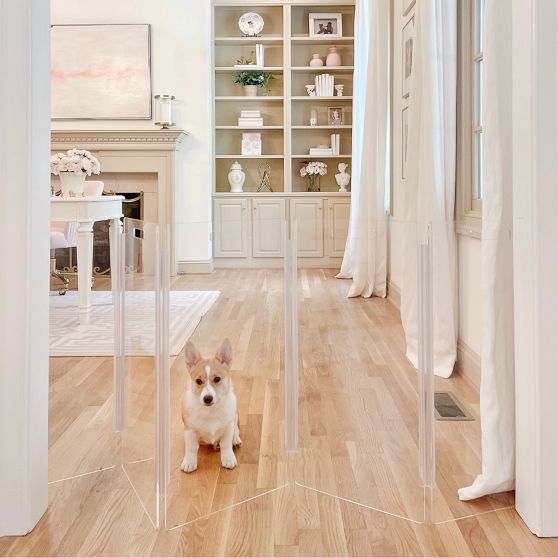 Hiddin Lucite Zig Zag Pet Gate