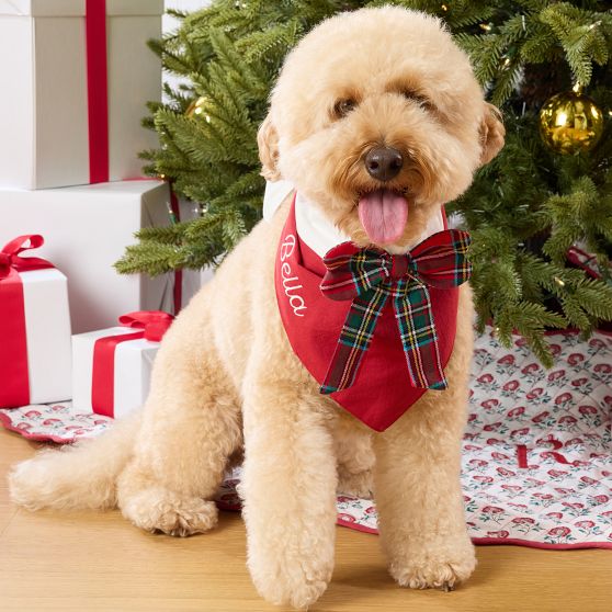 Tartan Bow Bone Dog Bandana