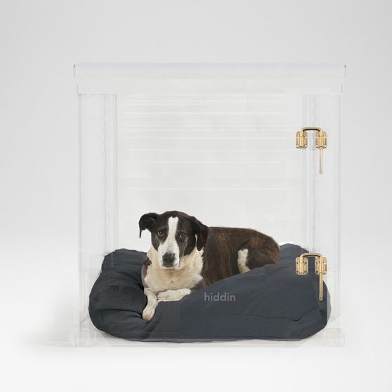 Hiddin Lucite Pet Crate with Cushion