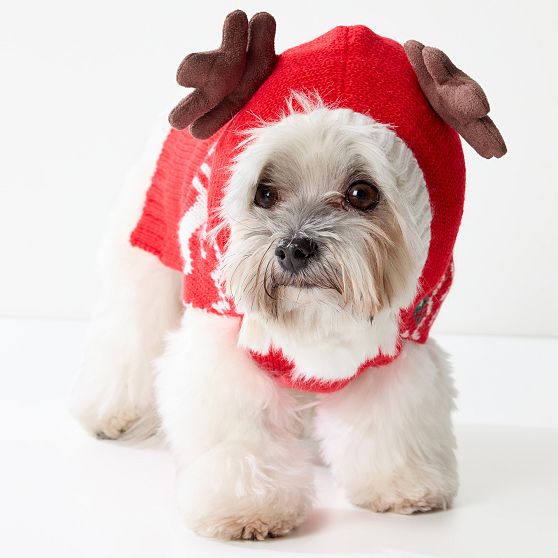 Reindeer Hooded Dog Sweater