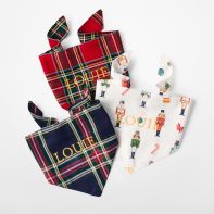 Carriers + Accessories image