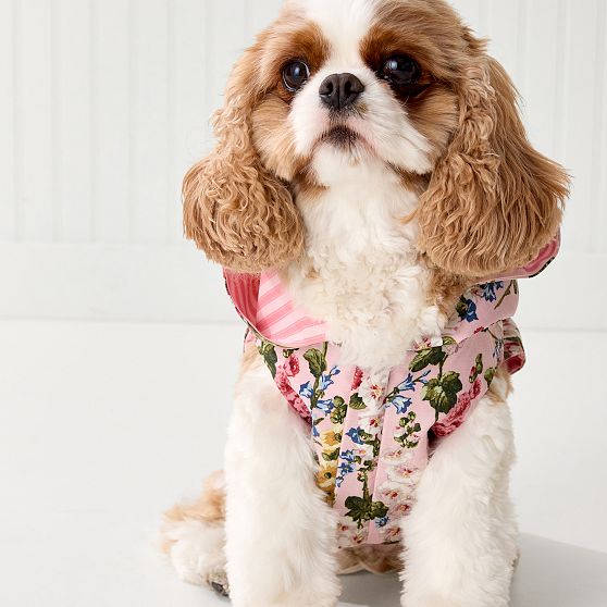 Sanderson Dog Rain Jacket