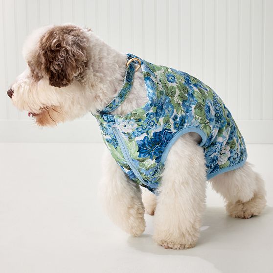 Sanderson Dog Collar