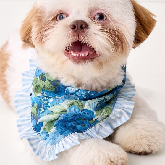 Sanderson Ruffle Dog Bandana