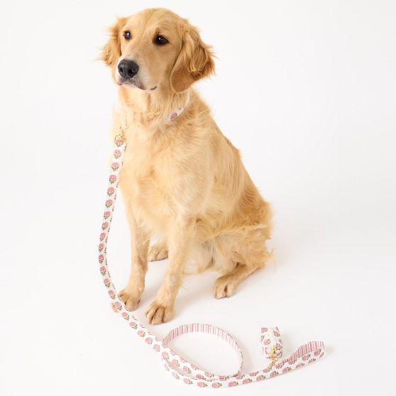 Block Print Dog Leash Set
