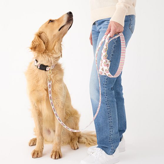 Block Print Dog Leash Set