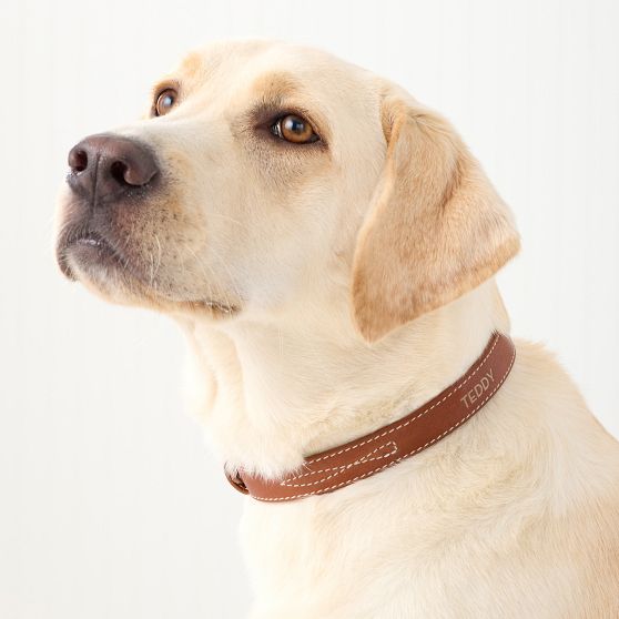 Carson Leather Dog Collar