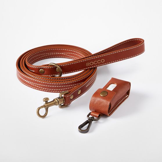 Carson Leather Dog Leash Set