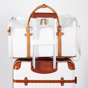 terminal-1-dog-carry-on-bag-1-