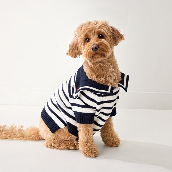 Sailor Dog Sweater