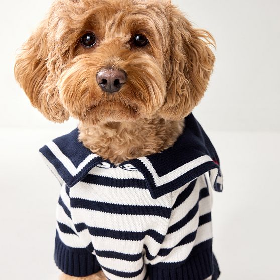Sailor Dog Sweater