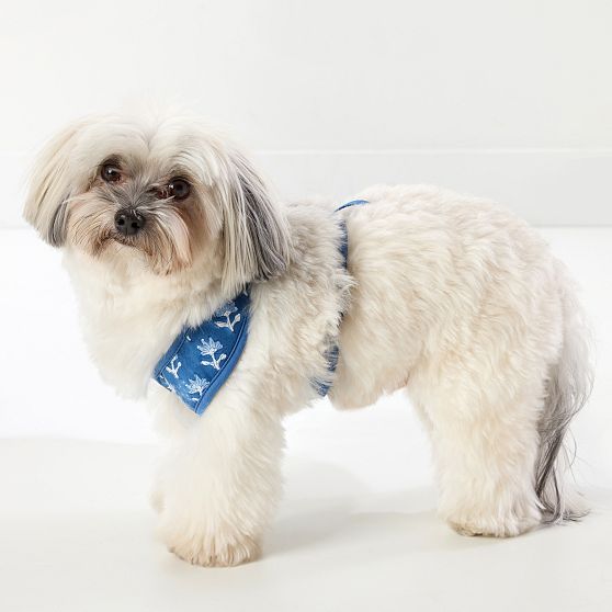 Block Print Dog Harness